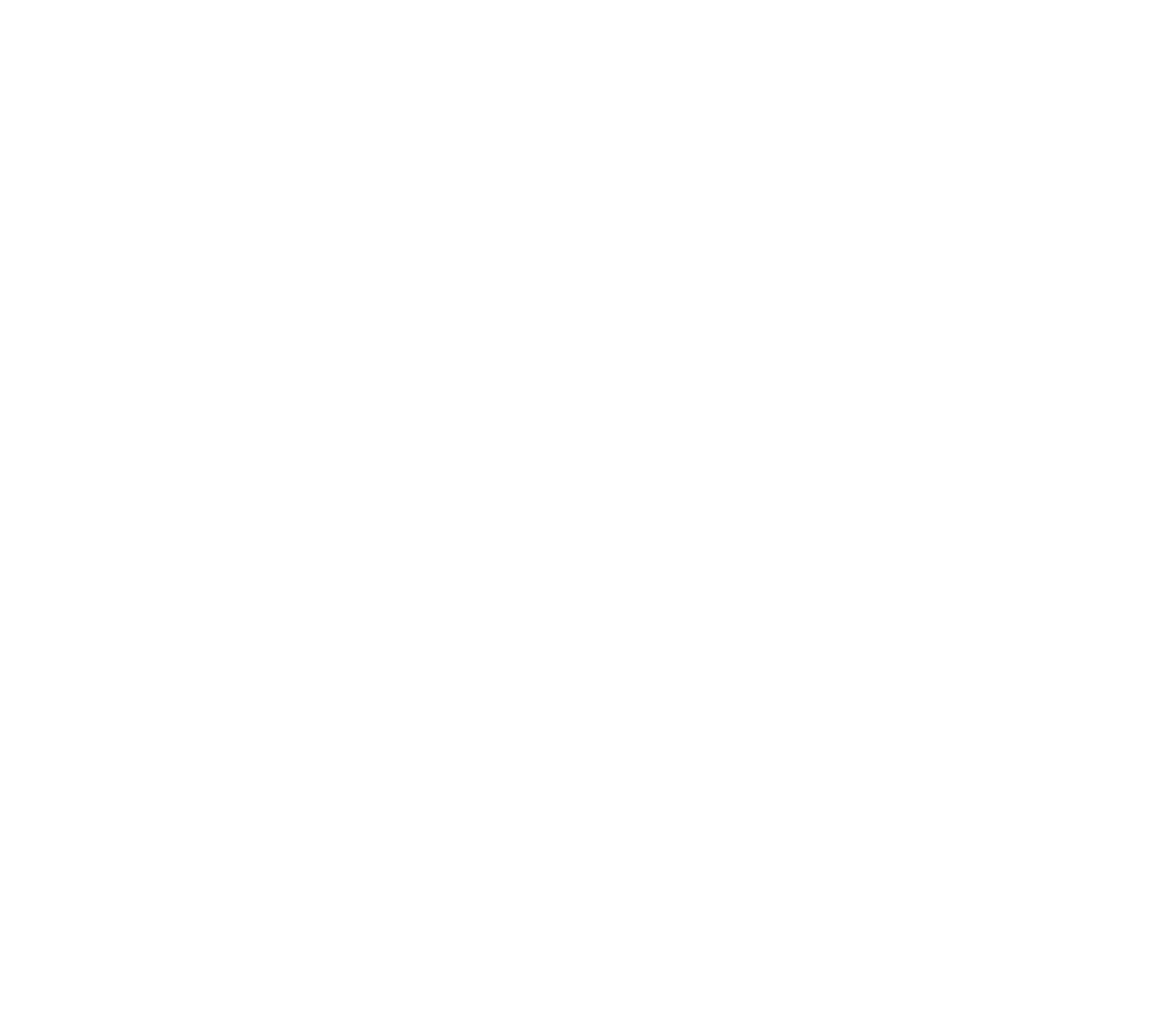 STT Scheme Badge